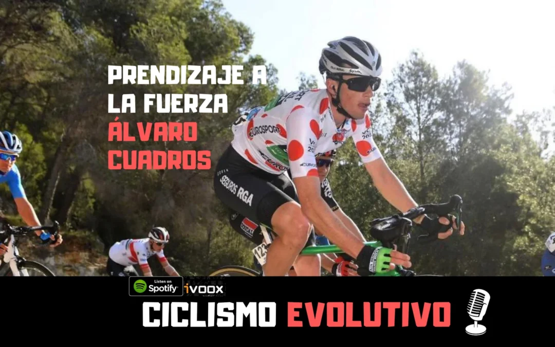 Aprendizaje a la fuerza. Entrevista a Álvaro Cuadros.