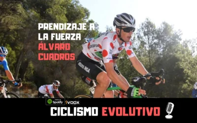 Aprendizaje a la fuerza. Entrevista a Álvaro Cuadros.