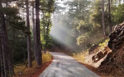 A 10 metros del asfalto.